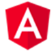 Jevi Web Studio Angular Language